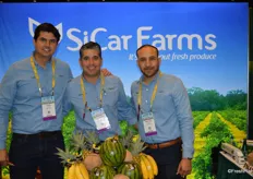 Virtually standing in a lemon orchard are Luis Gudino, Rodrigo Venegas Ochoa and Miguel Rivera with Sicar Farms.